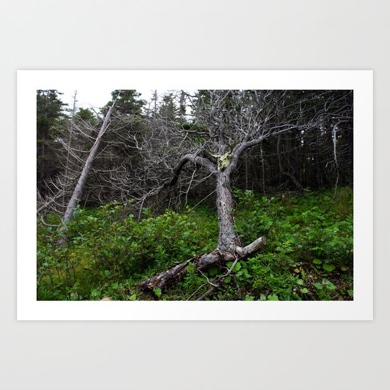 Forest Spirit (Full image skull and trunk) Art Print