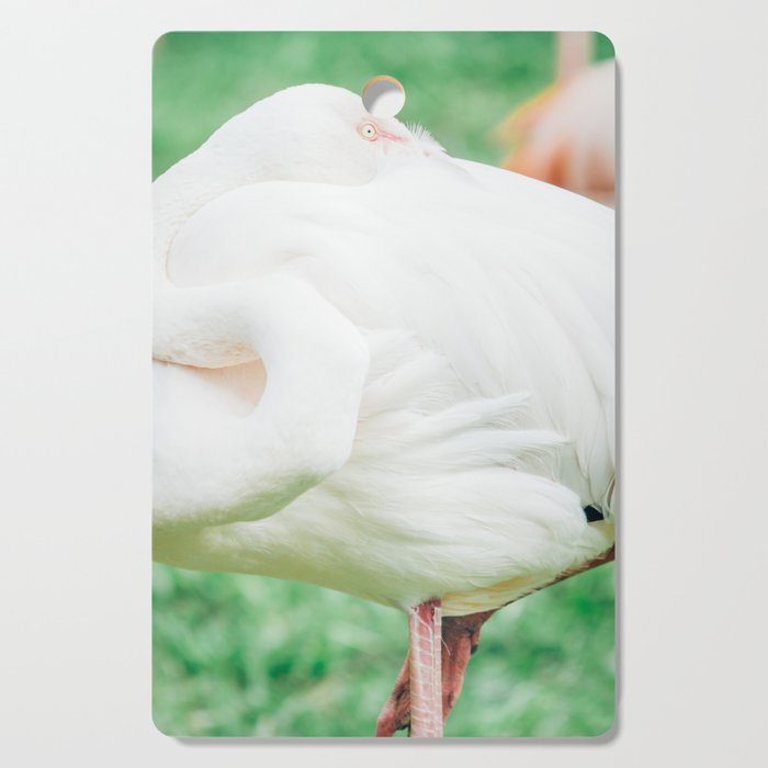 Flamingo Art | Tropical Bird on Green Background | Animal Photography Cutting Board