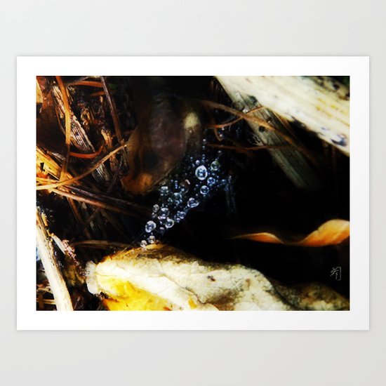 Autumn Glory Art Print