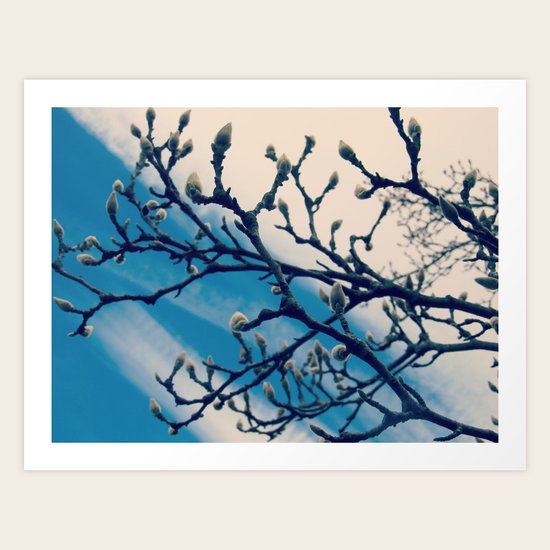 New beginnings Art Print