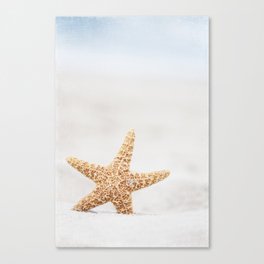 Starfish On Beach Photography, Pale Blue Beige Summer Coastal Seashore Art Canvas Print