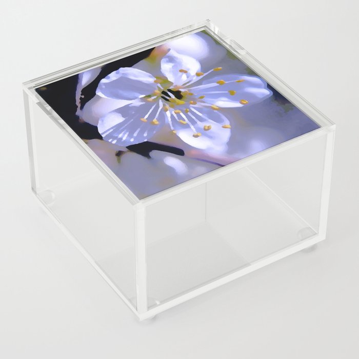 Fully opened Acrylic Box