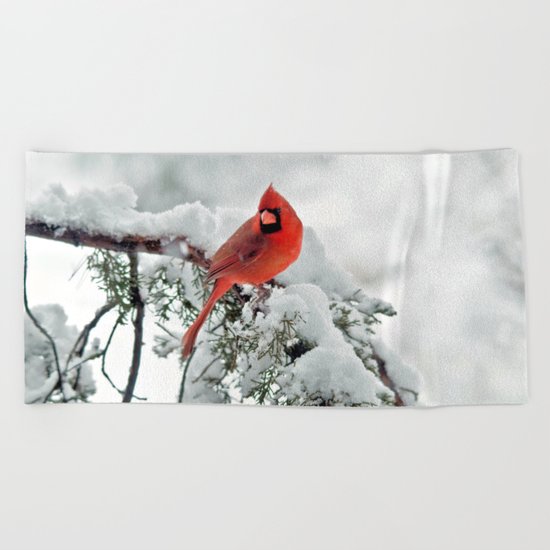 Cardinal on Snowy Branch #2 Beach Towel