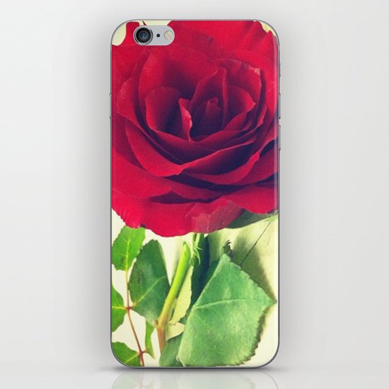 Red Rose iPhone & iPod Skin
