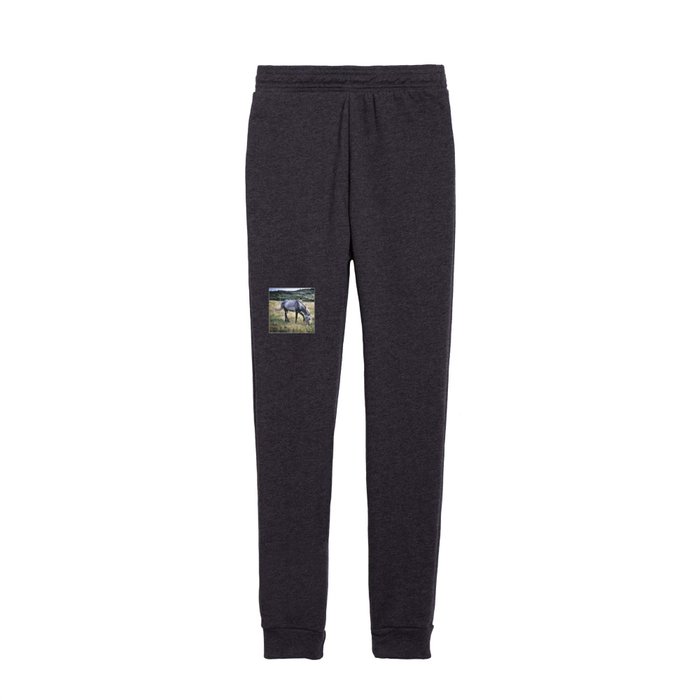 Grey arabian purebred horse pasture in the countryside Kids Joggers
