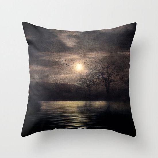 Sunset after the storm Throw Pillow