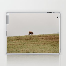 cows grazing in a field	 Laptop Skin