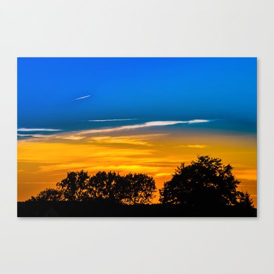 Golden Touch Canvas Print