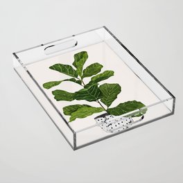 Fiddle leaf fig Tree Acrylic Tray