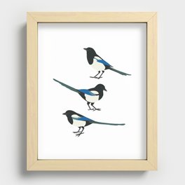 Funny Birds Magpie Recessed Framed Print