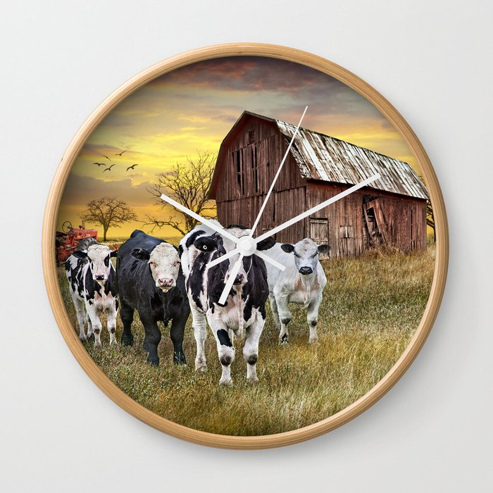 Cattle in the Midwest with Barn and Tractor at Sunset Wall Clock