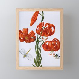 Red Lily antique 1680 Framed Mini Art Print