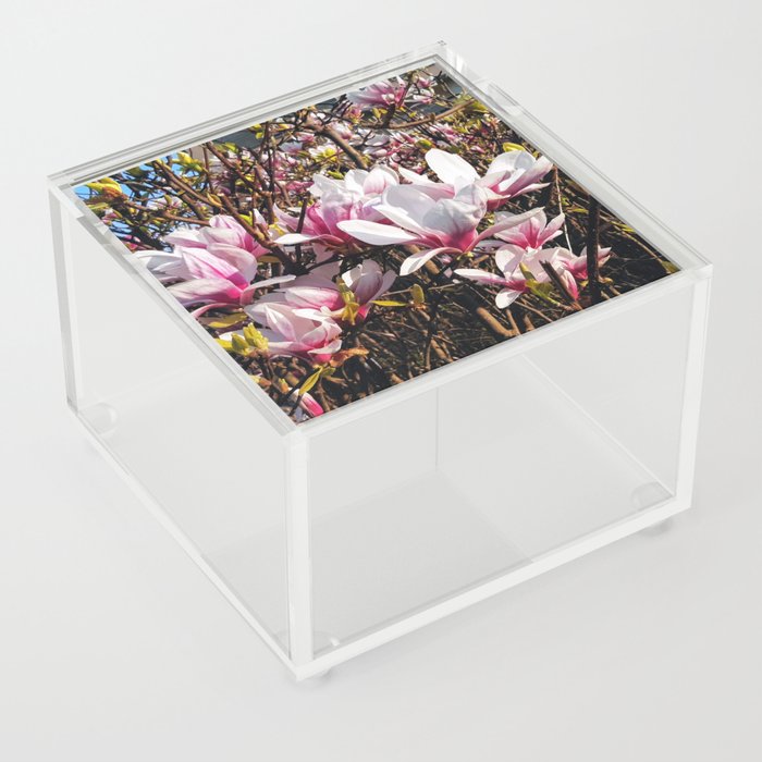 Flower blooming pink Acrylic Box