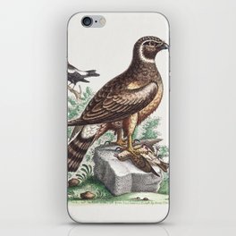 Vintage bird illustration iPhone Skin