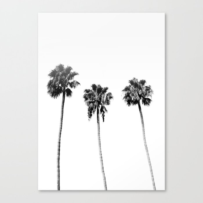 Black White Palm Trees Canvas Print By Madeinthedesertco Society6