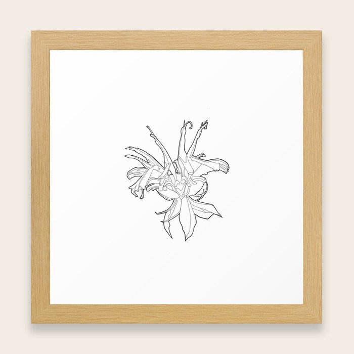 Bee Balm Framed Art Print By Hannahchrist Society6