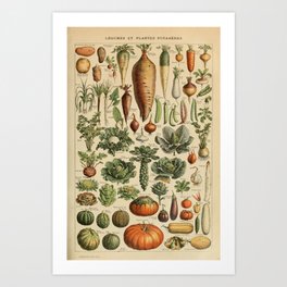 Adolphe Millot - Vegetables - French vintage poster Art Print
