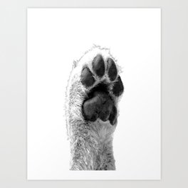 Black and White Dog Paw Art Print