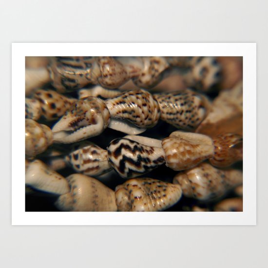 Shelled Art Print