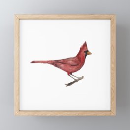Cardinal Courage Framed Mini Art Print