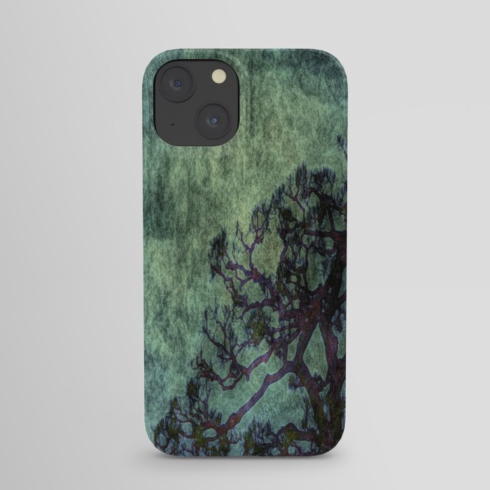 Early Summer iPhone Case
