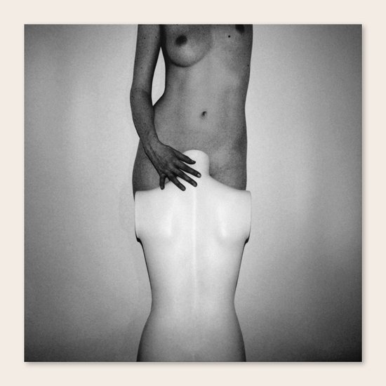 relation Canvas Print