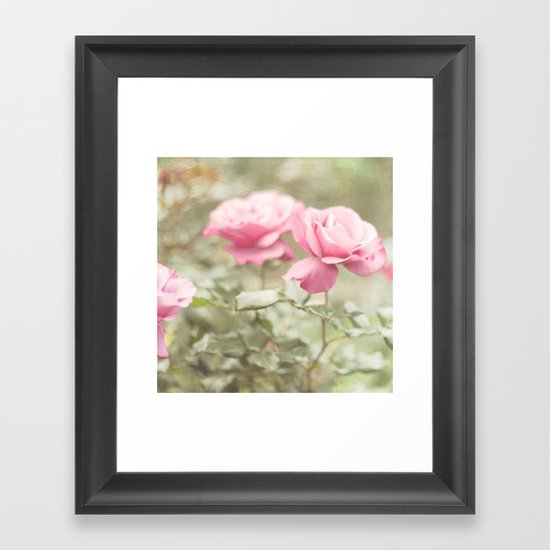 Textured and Pastel roses (vintage flower photography) Framed Art Print