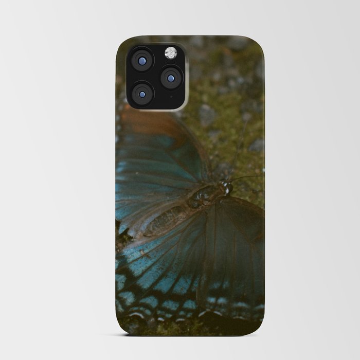 BLUE BUTTERFLY iPhone Card Case