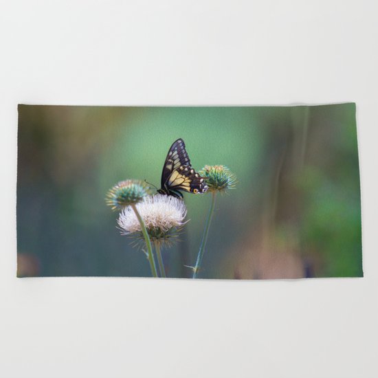 Butterfly Thistle Beach Towel