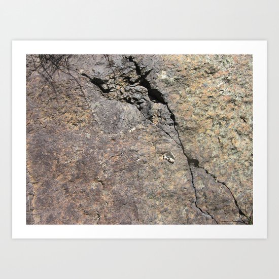 The Cracken Art Print