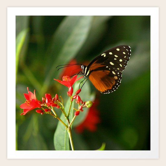 Tropical Scene Art Print