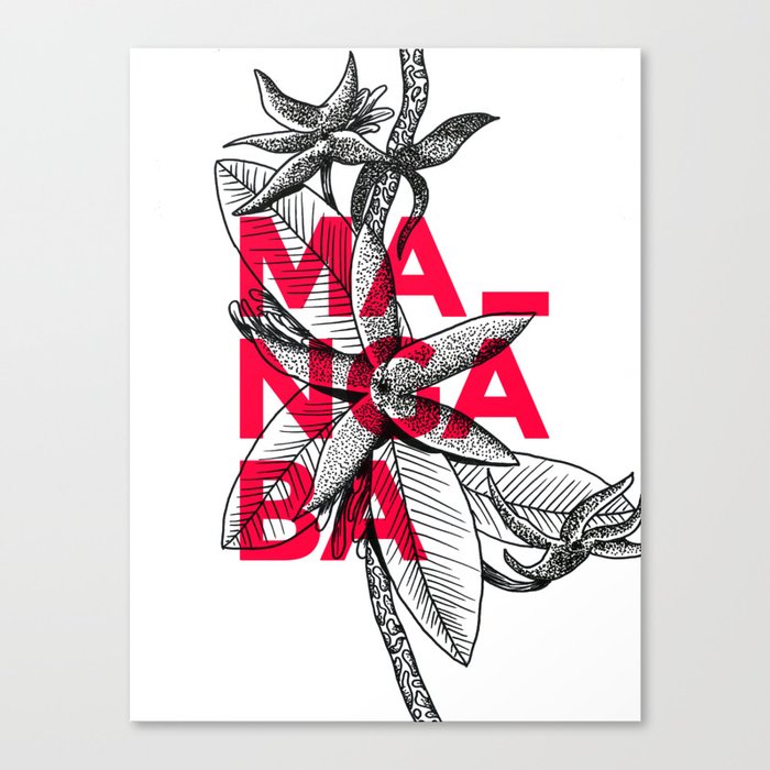 Mangaba Canvas Print