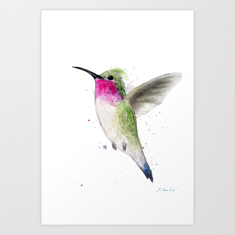Hummingbird Watercolor Painting By Suisai Genki Art Print By