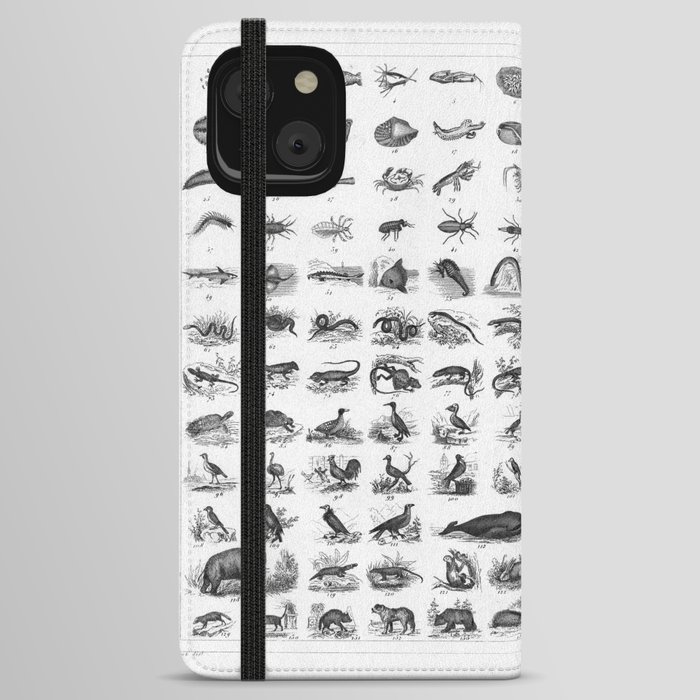1857 Diagram Zoology: Animals iPhone Wallet Case