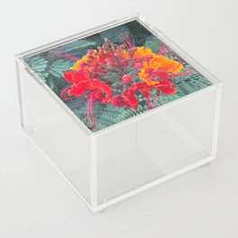 gas station flower Acrylic Box