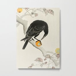 Crow eating persimmon Fruit - Vintage Japanese Woodblock Print Art Metal Print