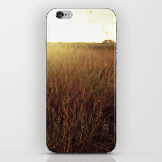 Sweet Sunset iPhone & iPod Skin
