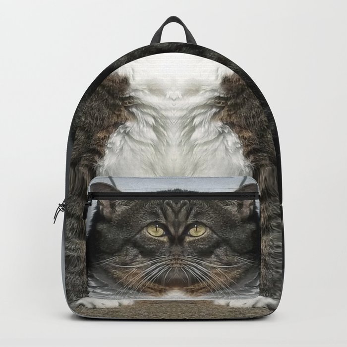 fat cat backpack