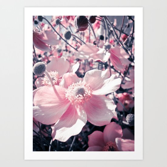 Anemone Art Print