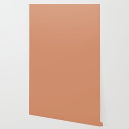 Dark Salmon Pink Solid Color Hue Shade - Patternless Wallpaper