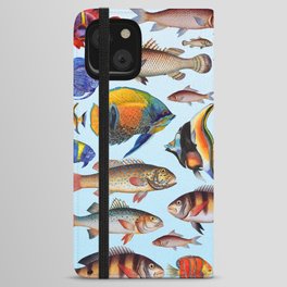 Colorful fish in the ocean iPhone Wallet Case