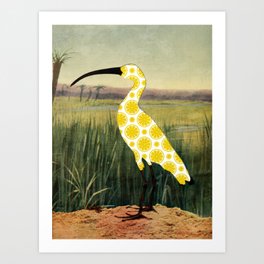 Lemon Ibis Art Print