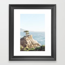 The Lone Cypress in Big Sur California, California Photography, Landscape Photography, Nature Art  Framed Art Print