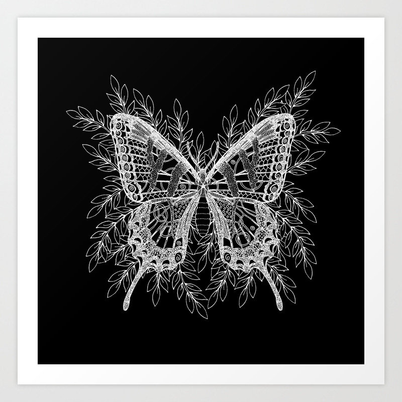 Black And White Drawings Of Butterflies