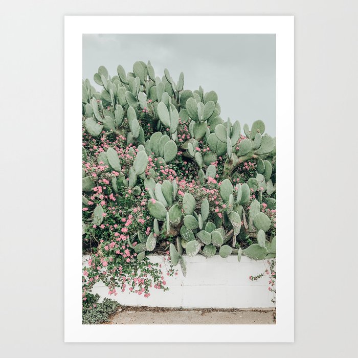 Prickly Pear Cactus and Flowers, Austin, Texas Art Print