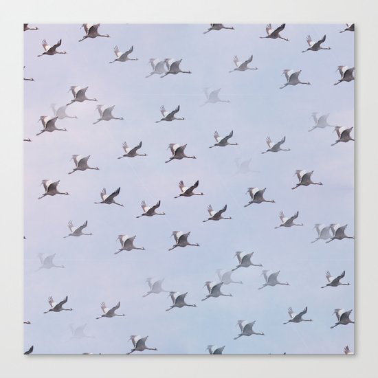 Cranes in Flight II Canvas Print