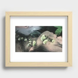 Sloth (close-up) Recessed Framed Print