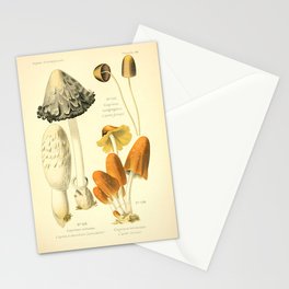 Mushrooms from "Atlas des Champignons Comestibles et Vénéneux," 1891 (benefitting The Nature Conservancy) Stationery Card