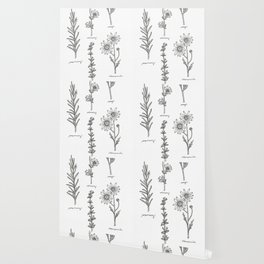 Kitchen Herbs Wallpaper