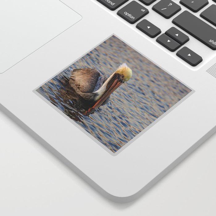 Pelican on the Bayou Sticker